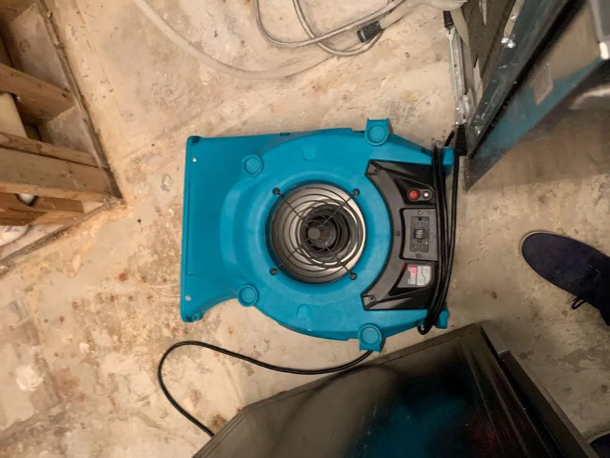 Air mover drying equipment for Mold Remediation & Removal in Perry Heights