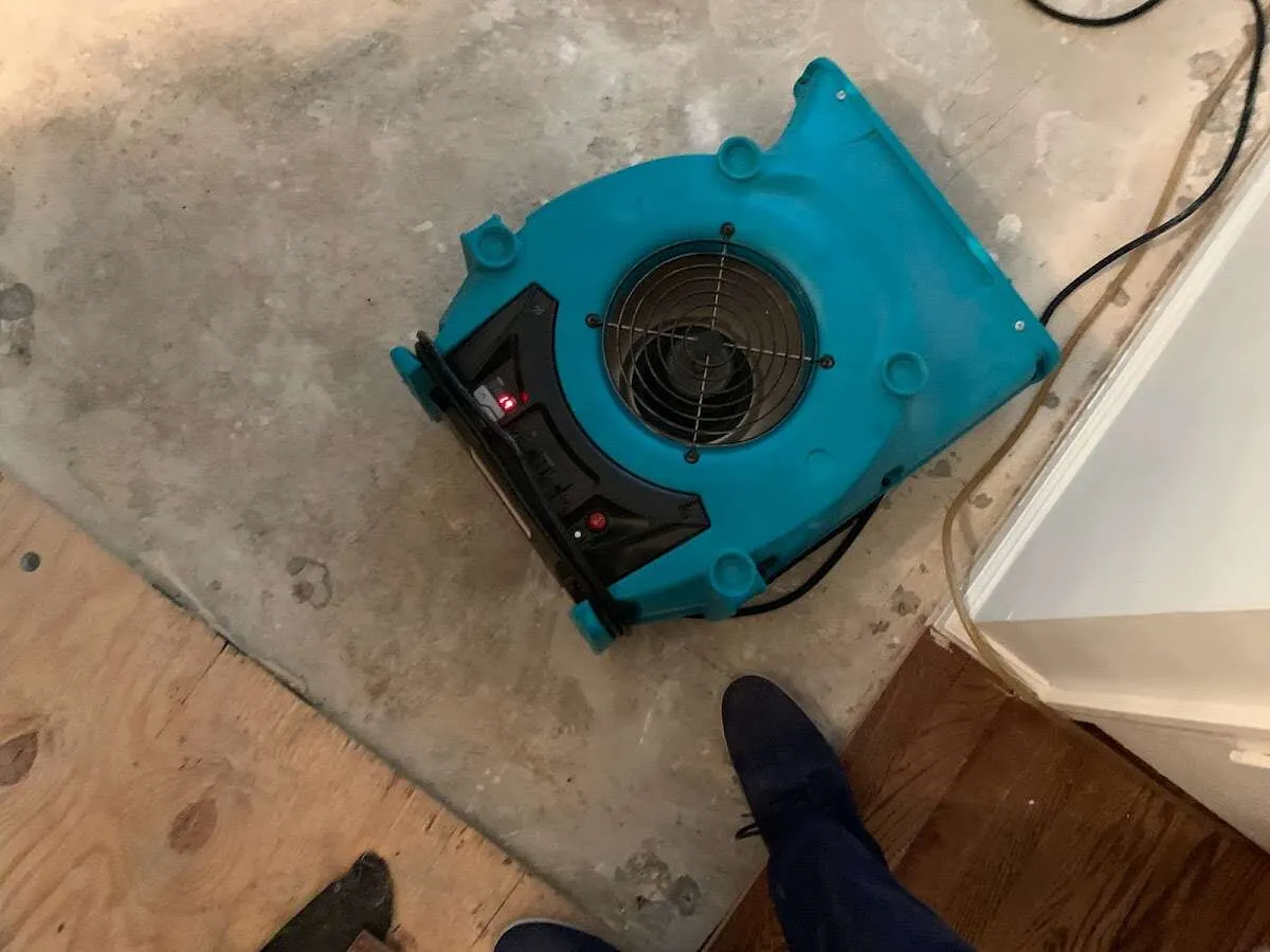 Air mover drying subfloor during Leak Detection & Repair in Perry Heights